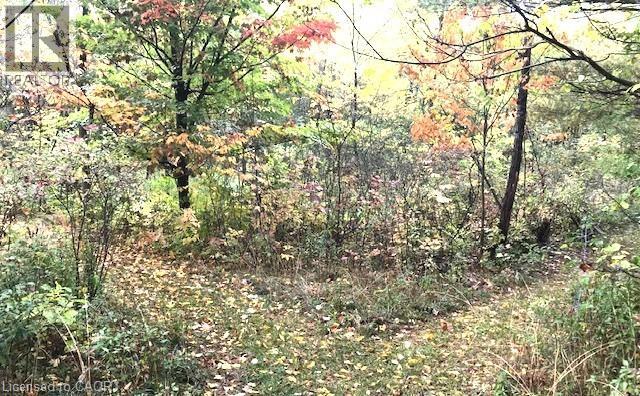 165 Ridge Road E, Grimsby, Ontario  L3M 4E7 - Photo 11 - 40797331