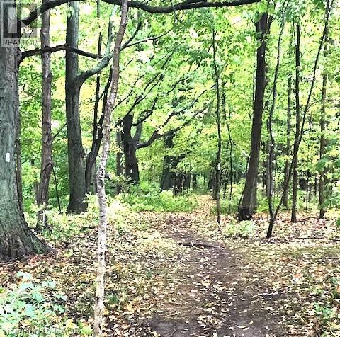 165 Ridge Road E, Grimsby, Ontario  L3M 4E7 - Photo 6 - 40797331