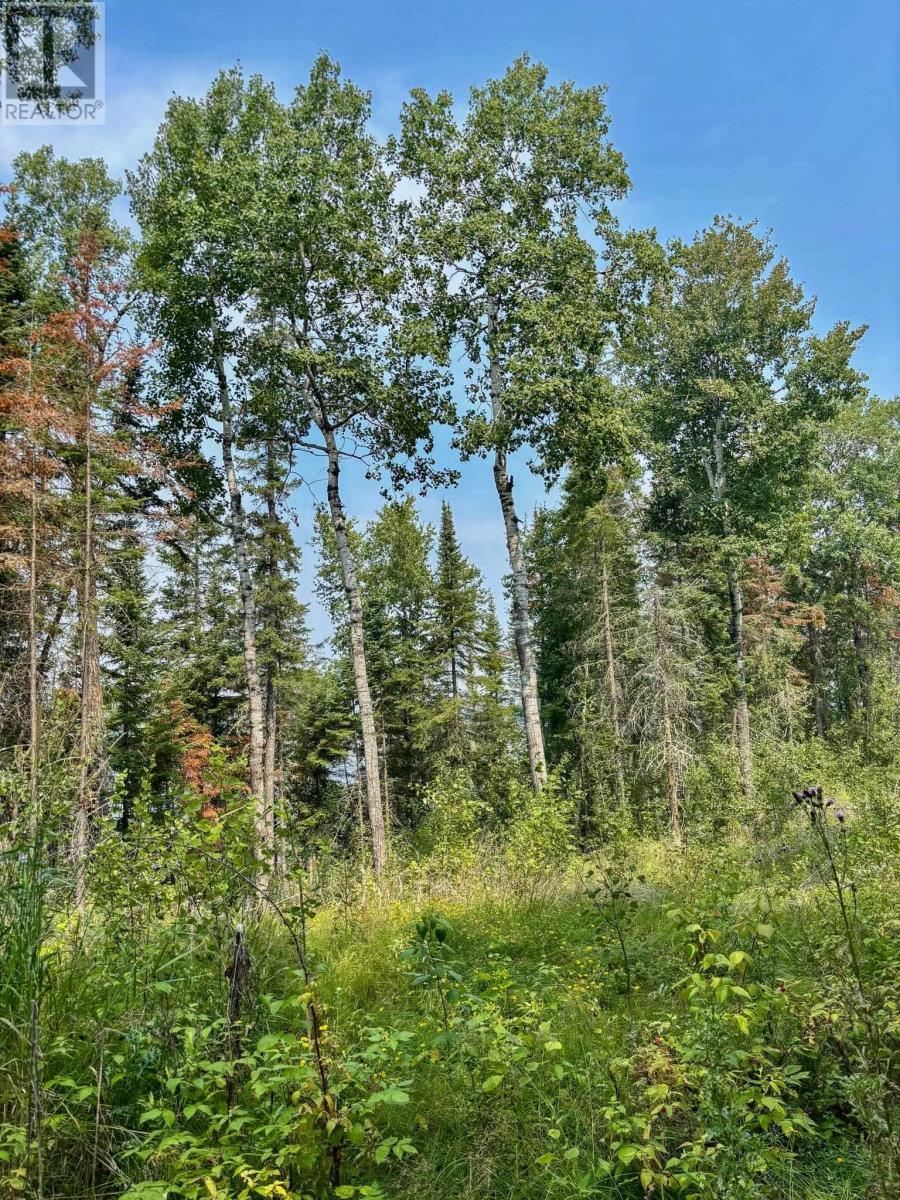 1 1 Thompson Is, Lake Of The Woods, S Of Kenora, Ontario  P0X 1C0 - Photo 18 - TB252539