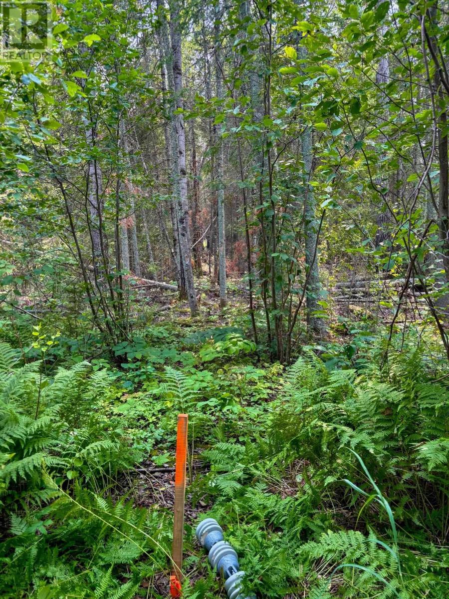 1 1 Thompson Is, Lake Of The Woods, S Of Kenora, Ontario  P0X 1C0 - Photo 17 - TB252539