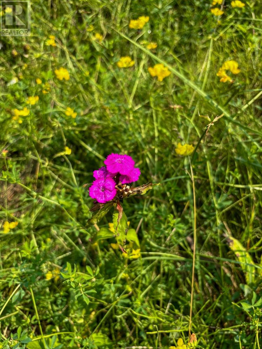 1 1 Thompson Is, Lake Of The Woods, S Of Kenora, Ontario  P0X 1C0 - Photo 30 - TB252539