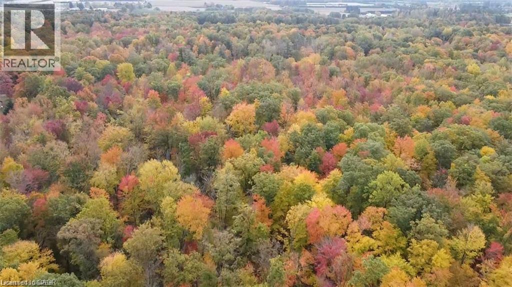 Pt Lot 20 7 Concession, Simcoe, Ontario N3Y 4K1 - Photo 5 - 40797493