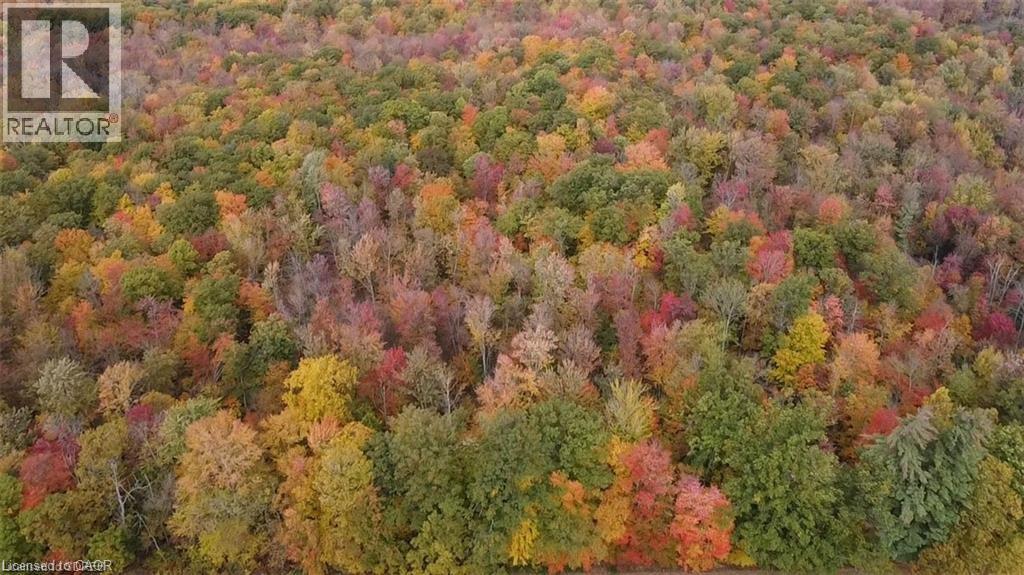 Pt Lot 20 7 Concession, Simcoe, Ontario N3Y 4K1 - Photo 6 - 40797493