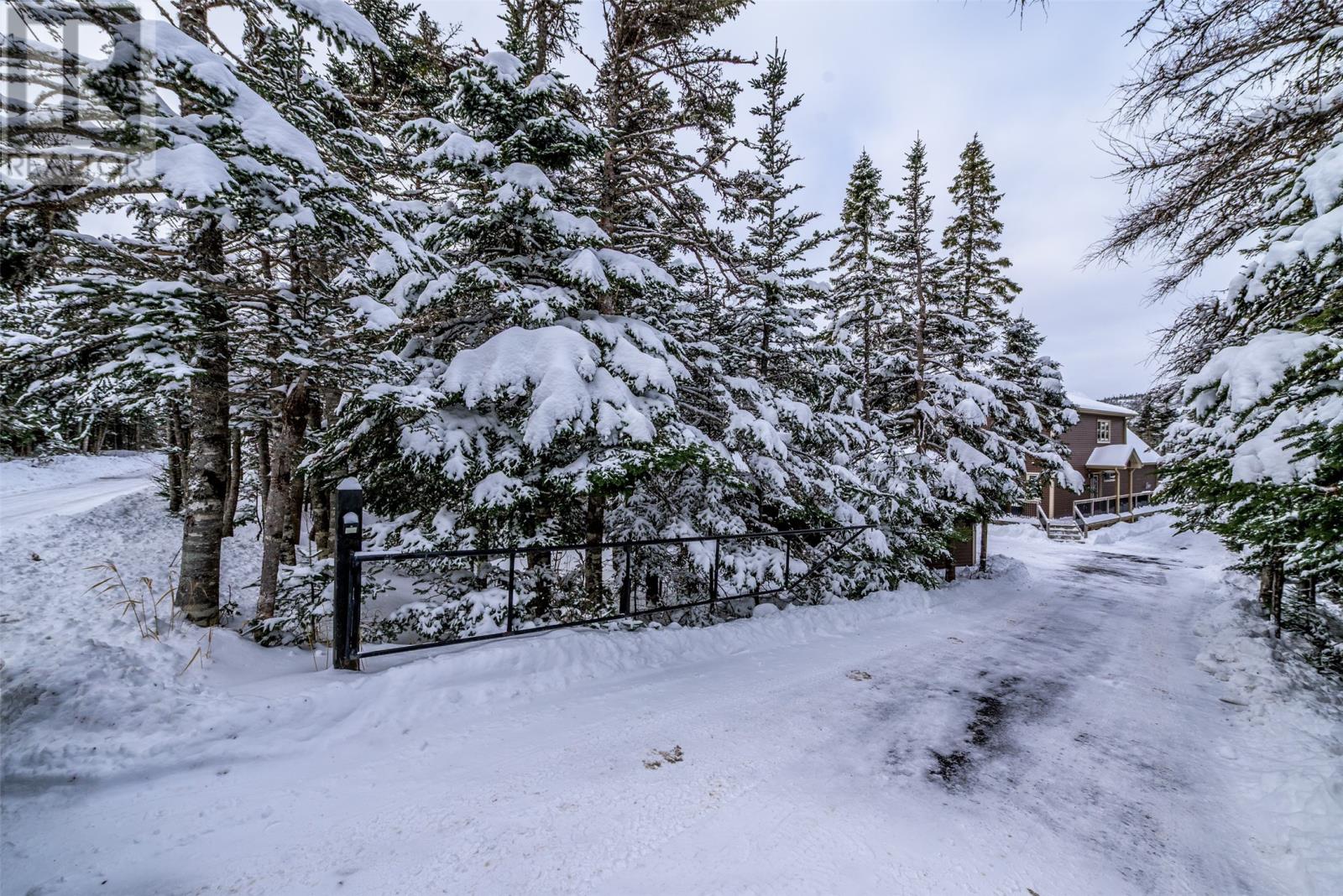 17 Cupids Big Pond Road, Makinsons, Newfoundland & Labrador  A0A 2X0 - Photo 5 - 1293618