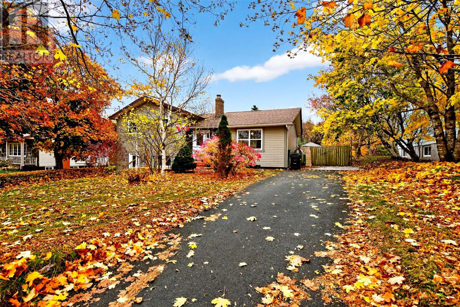 39 Mcniven Place, St. John's, Newfoundland & Labrador  A1A 4X1 - Photo 2 - 1293576