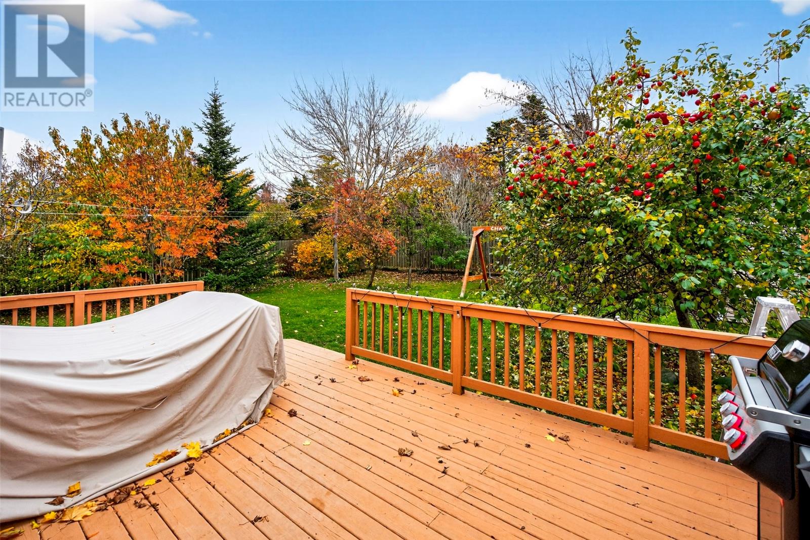 39 Mcniven Place, St. John's, Newfoundland & Labrador  A1A 4X1 - Photo 9 - 1293576