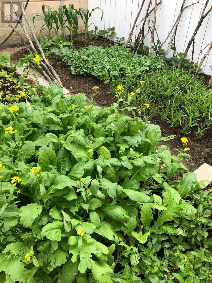 554 Sentinel Road, Toronto, Ontario  M3J 3R9 - Photo 39 - W12681588