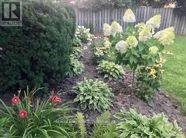 Upper - 119 Alison Avenue, Cambridge, Ontario  N1R 1N5 - Photo 27 - X12681658