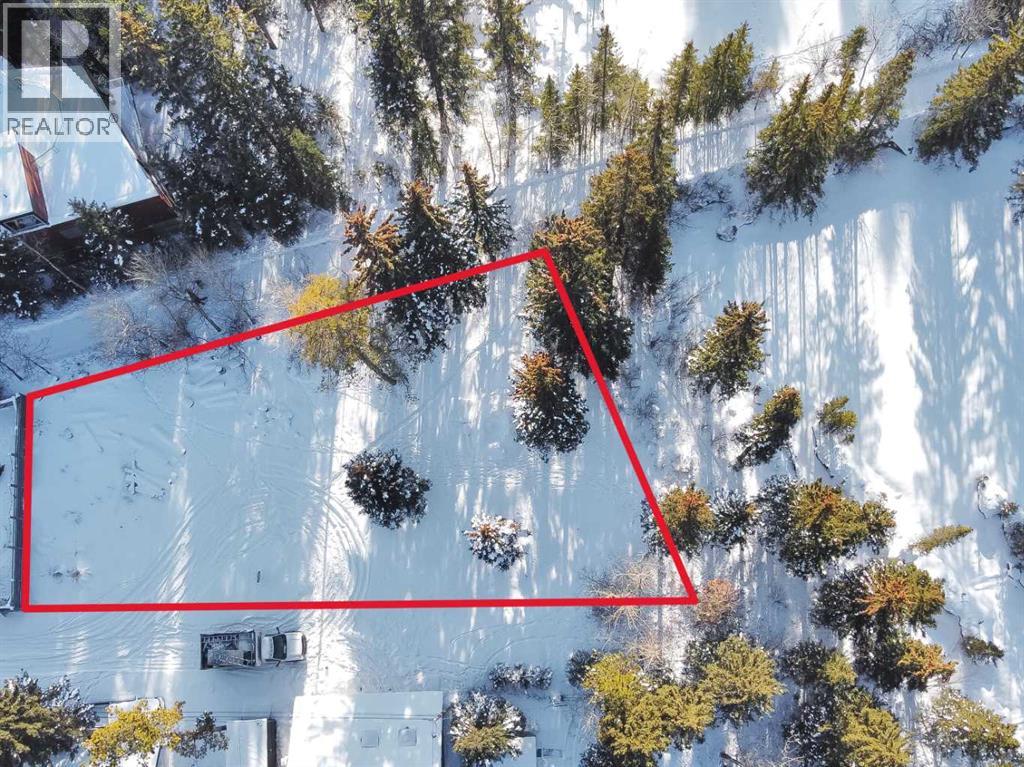 806 12a Street, Canmore, Alberta  T1W 0E7 - Photo 3 - A2275510