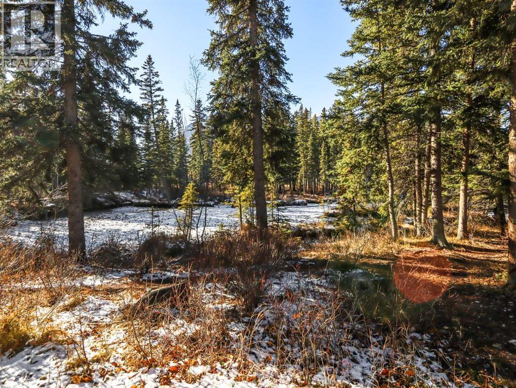 806 12a Street, Canmore, Alberta  T1W 0E7 - Photo 12 - A2275510