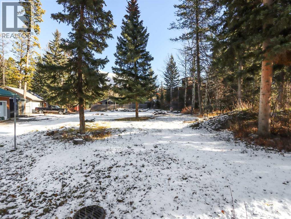 806 12a Street, Canmore, Alberta  T1W 0E7 - Photo 6 - A2275510