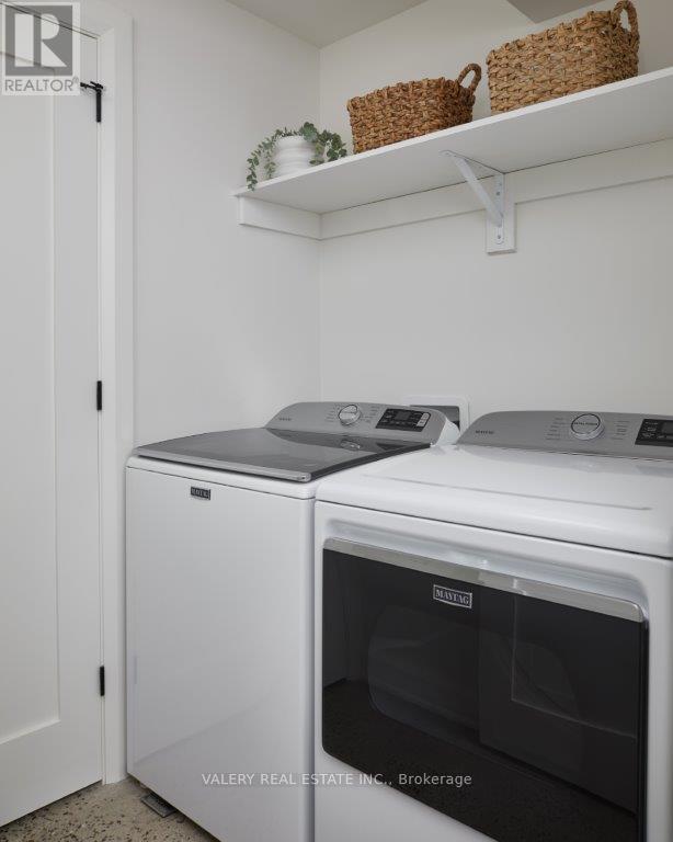 Lower - 31 Roslin Avenue, Toronto, Ontario M4N 1Y8 - Photo 5 - C12681748