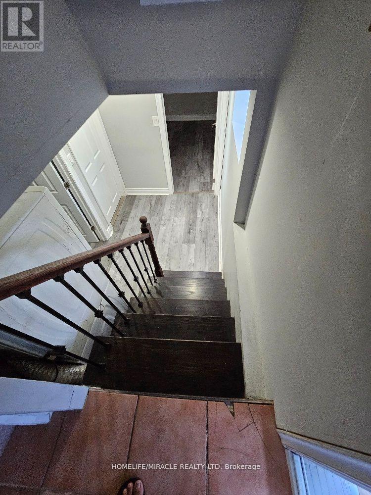 Bsmt - 259 Tower Drive, Toronto, Ontario  M1R 3P9 - Photo 5 - E12681892