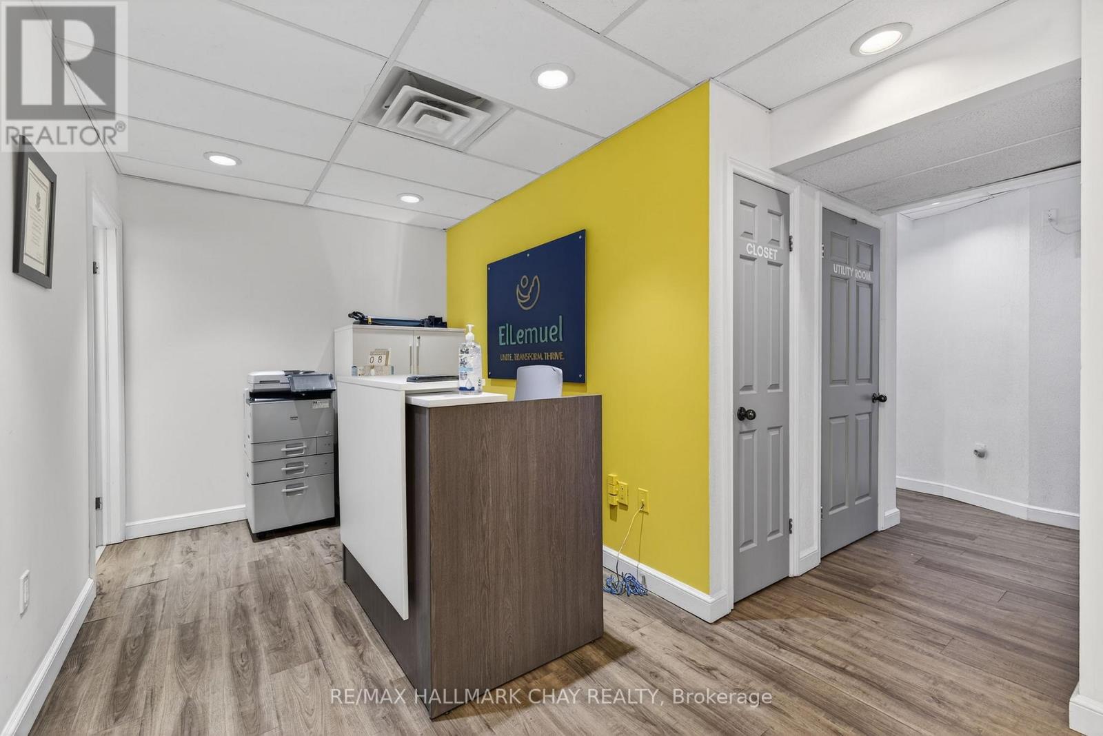 227 Eagle Street, Newmarket, Ontario  L3Y 1J8 - Photo 4 - N12681858