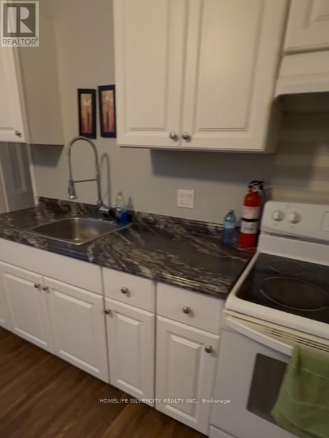 115 Murray Street, Brantford, Ontario  N3S 5P5 - Photo 12 - X12638148