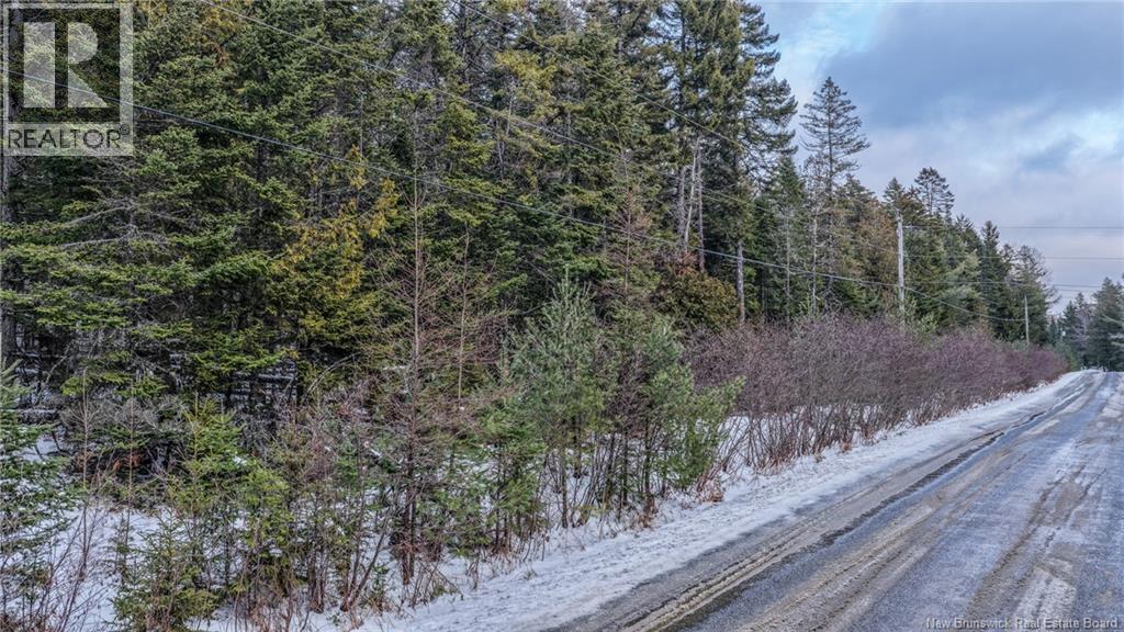 Lot Todds Point Road, Dufferin, New Brunswick  E3L 3R5 - Photo 4 - NB131960