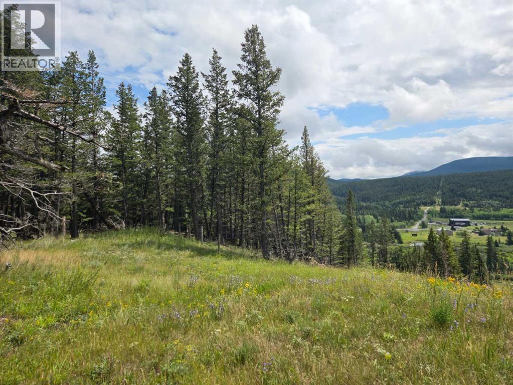 #4, 5302 19th Avenue, Coleman, Alberta  T0K 0M0 - Photo 4 - A2240921