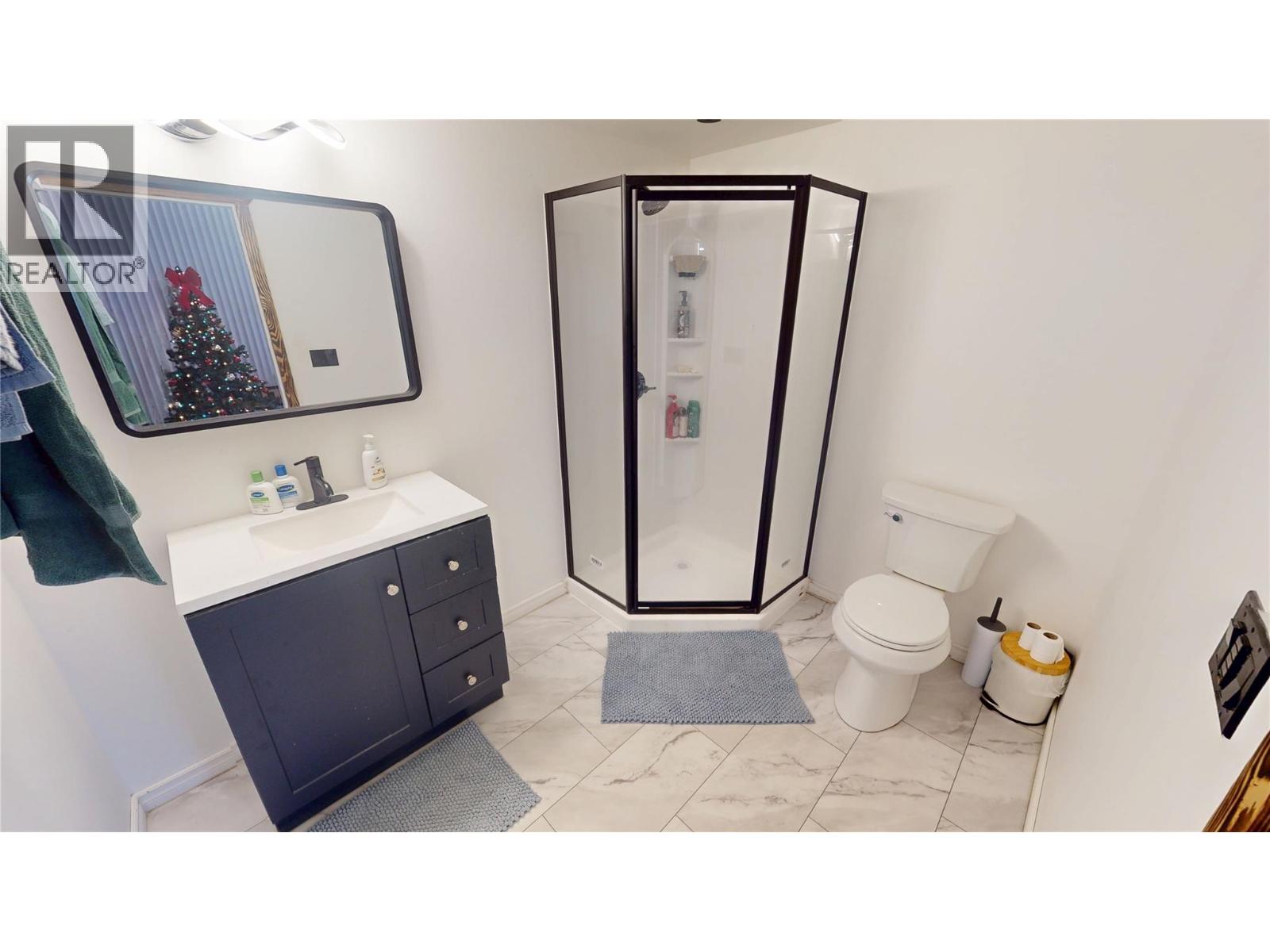 424 Briar Avenue Nw, Cranbrook, British Columbia V1C 4B5 - Photo 13 - 10372375