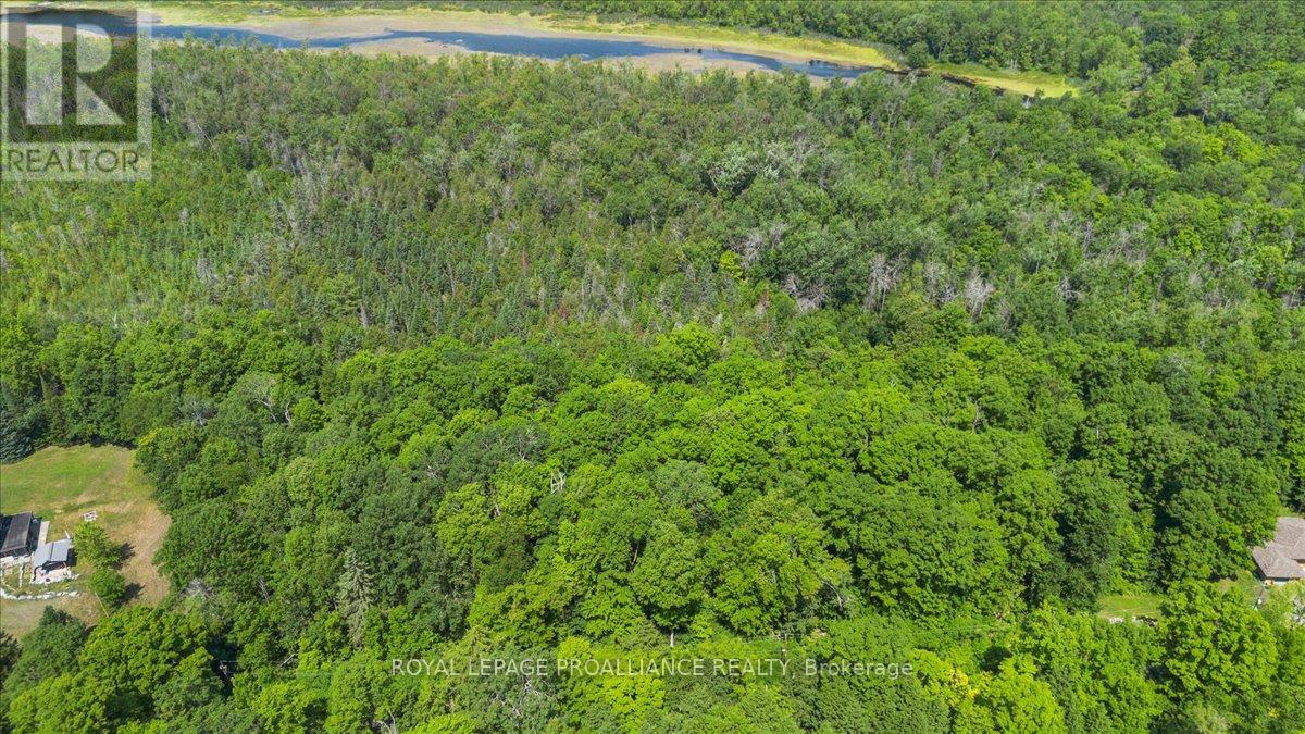 0 Rapids Court, Tweed, Ontario  K0K 3J0 - Photo 2 - X12682188