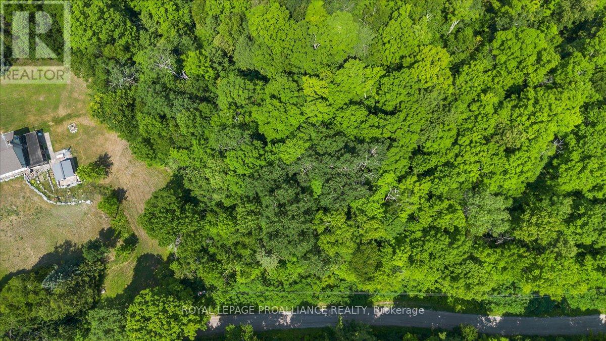 0 Rapids Court, Tweed, Ontario  K0K 3J0 - Photo 3 - X12682188