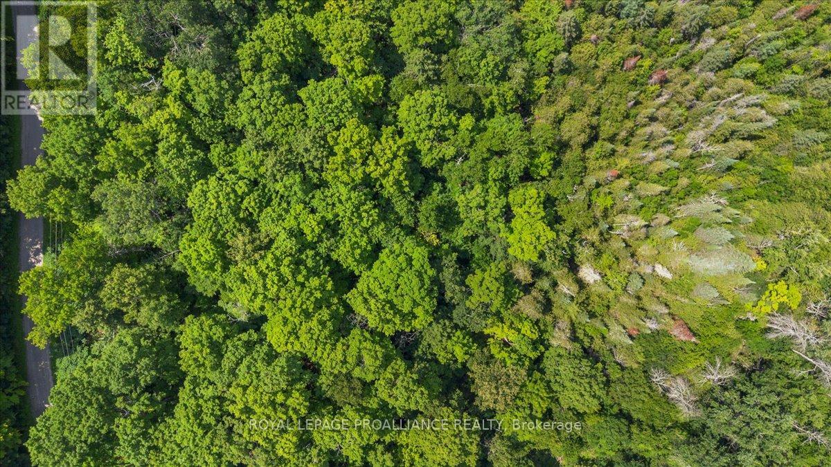 0 Rapids Court, Tweed, Ontario  K0K 3J0 - Photo 6 - X12682188