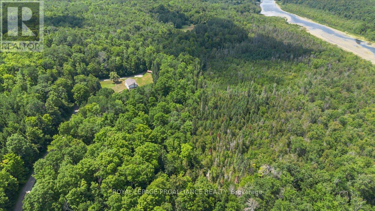 0 Rapids Court, Tweed, Ontario  K0K 3J0 - Photo 8 - X12682188