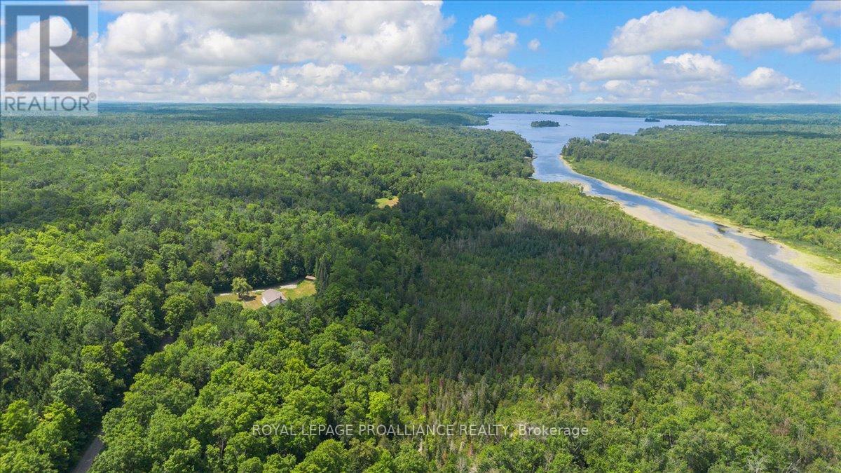 0 Rapids Court, Tweed, Ontario  K0K 3J0 - Photo 9 - X12682188