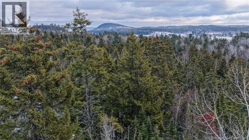 Lot Todds Point Road, Dufferin, New Brunswick  E3L 3R5 - Photo 12 - NB131960