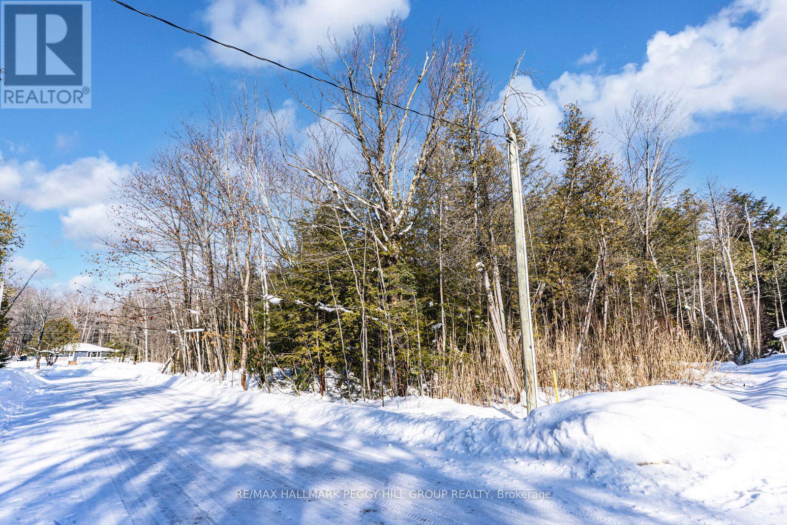 38 Lasalle Trail, Tiny, Ontario  L9M 0G3 - Photo 5 - S12532130