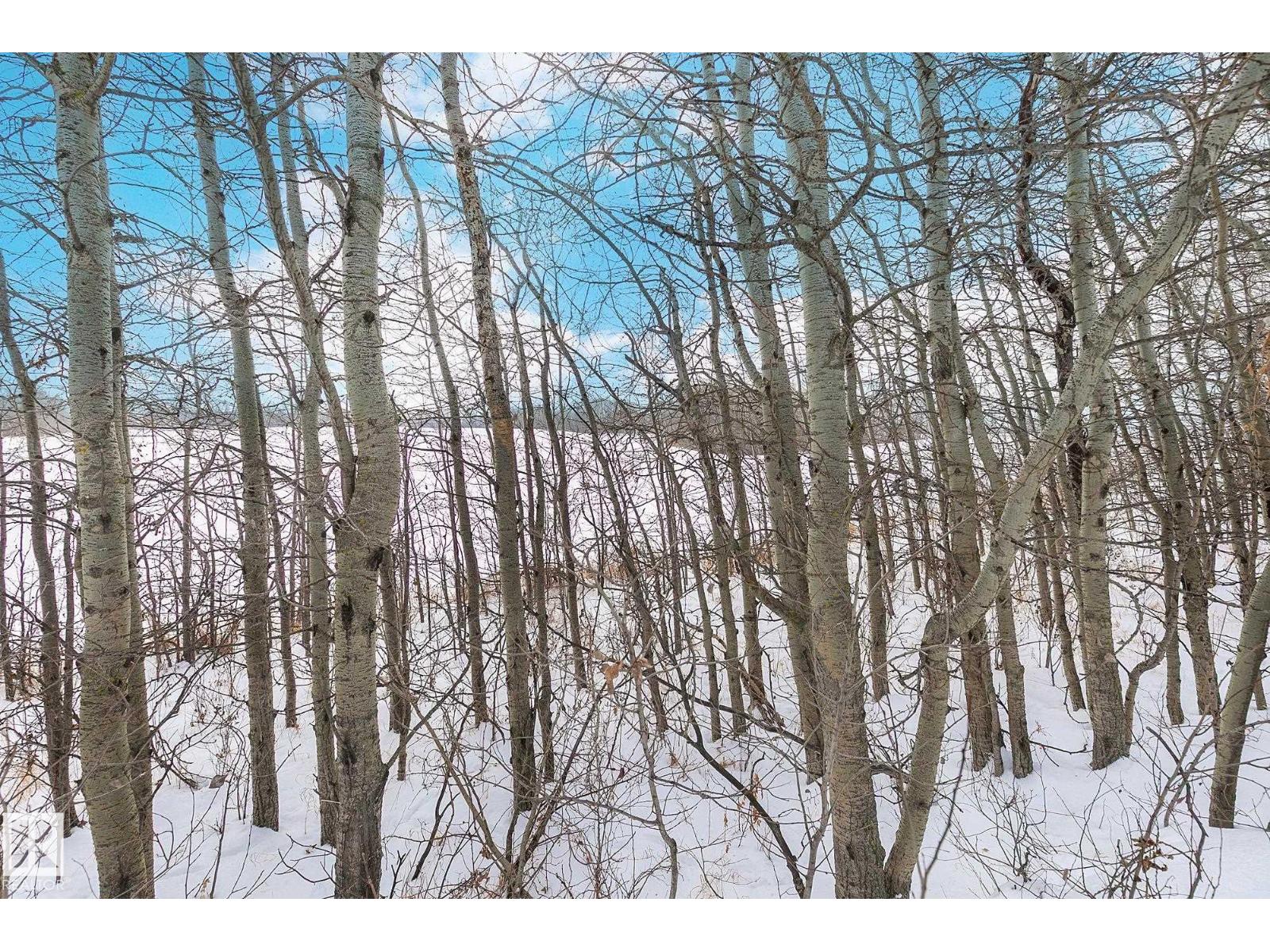 2925 Lakewood Dr Nw, Edmonton, Alberta  T5S 1T7 - Photo 41 - E4468935