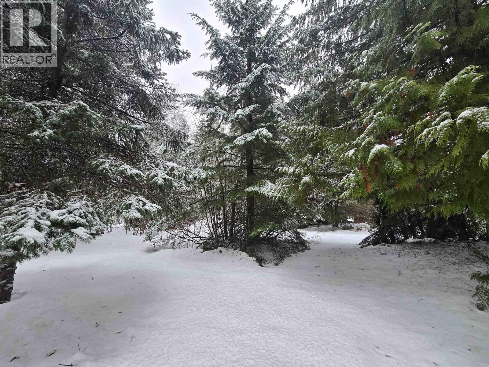 5040 Agar Avenue, Terrace, British Columbia  V8G 1J1 - Photo 31 - R3077856