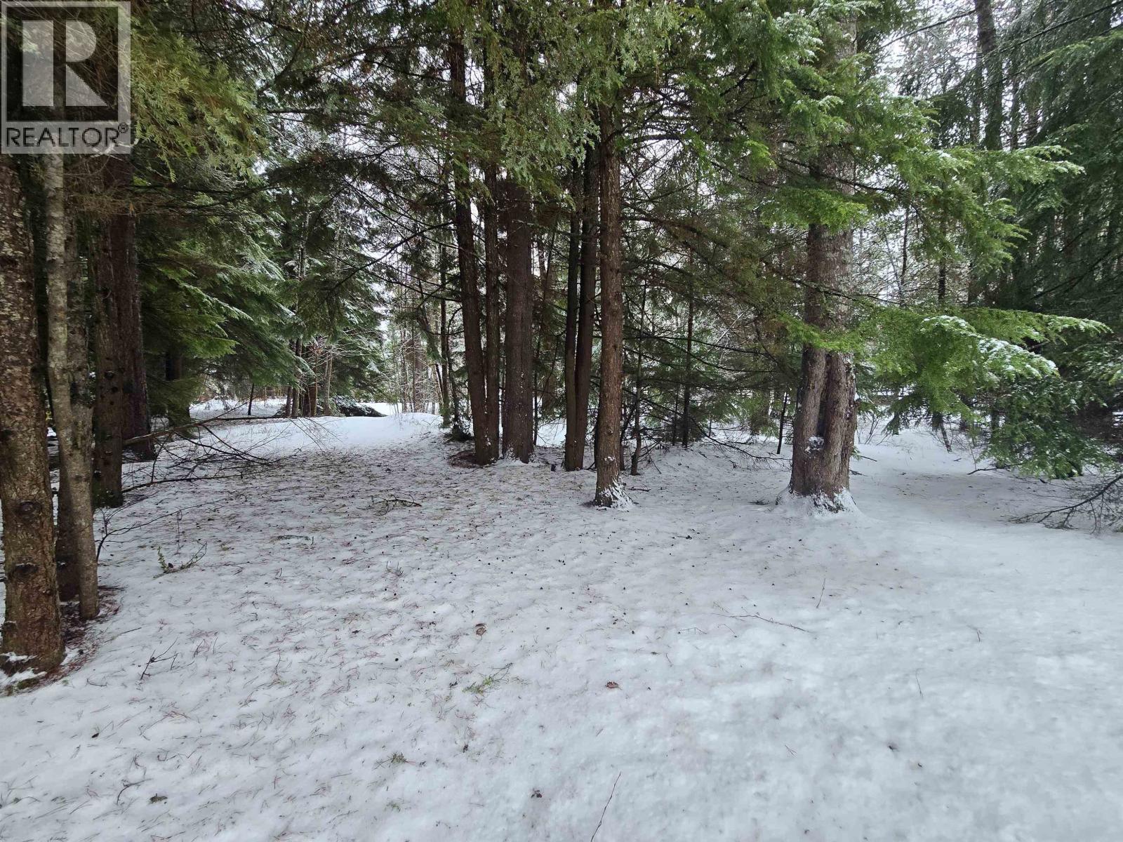 5040 Agar Avenue, Terrace, British Columbia  V8G 1J1 - Photo 32 - R3077856