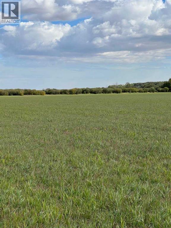 Portion Of Ne 2 74 9 W6 & Nw 2 74 9 W6, La Glace, Alberta  T0H 2J0 - Photo 11 - A2278258