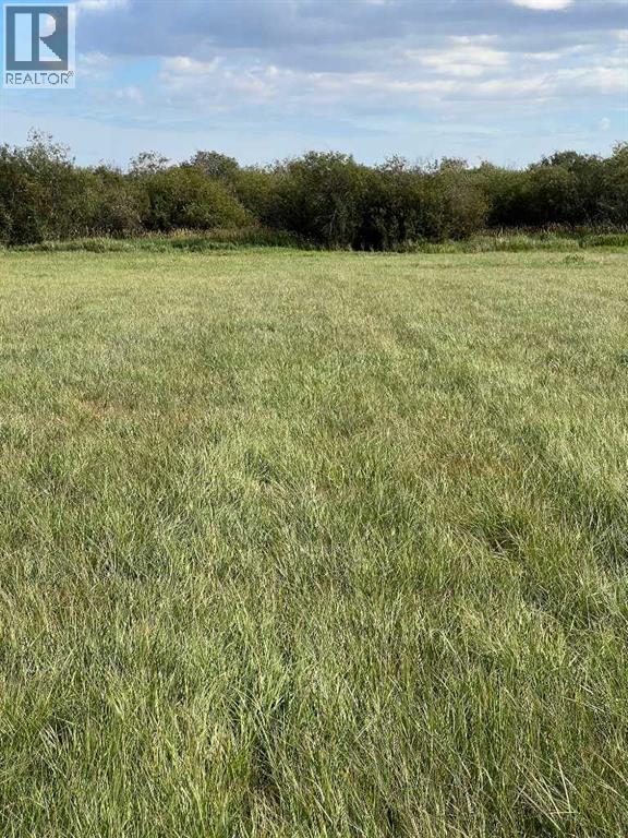 Portion Of Ne 2 74 9 W6 & Nw 2 74 9 W6, La Glace, Alberta  T0H 2J0 - Photo 13 - A2278258