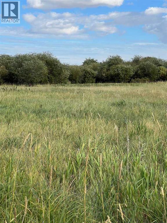 Portion Of Ne 2 74 9 W6 & Nw 2 74 9 W6, La Glace, Alberta  T0H 2J0 - Photo 14 - A2278258