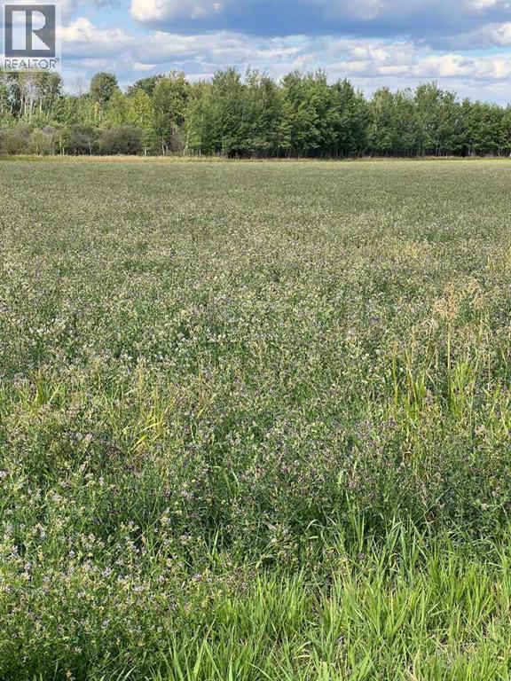 Portion Of Ne 2 74 9 W6 & Nw 2 74 9 W6, La Glace, Alberta  T0H 2J0 - Photo 15 - A2278258