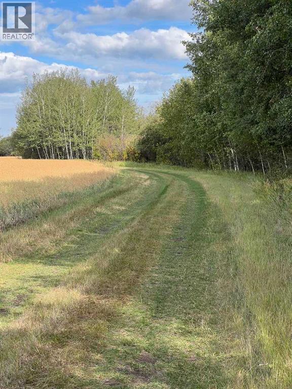 Portion Of Ne 2 74 9 W6 & Nw 2 74 9 W6, La Glace, Alberta  T0H 2J0 - Photo 17 - A2278258