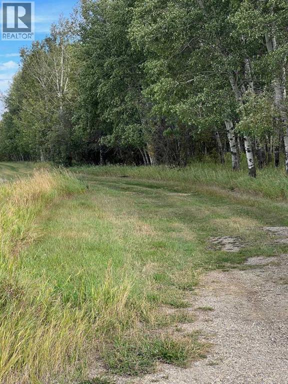 Portion Of Ne 2 74 9 W6 & Nw 2 74 9 W6, La Glace, Alberta  T0H 2J0 - Photo 18 - A2278258