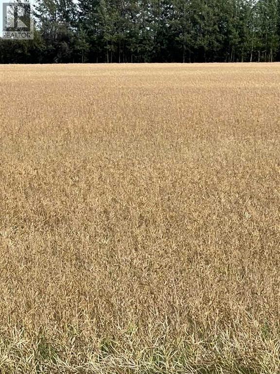 Portion Of Ne 2 74 9 W6 & Nw 2 74 9 W6, La Glace, Alberta  T0H 2J0 - Photo 19 - A2278258