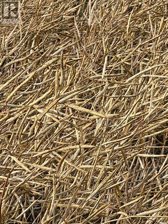 Portion Of Ne 2 74 9 W6 & Nw 2 74 9 W6, La Glace, Alberta  T0H 2J0 - Photo 21 - A2278258