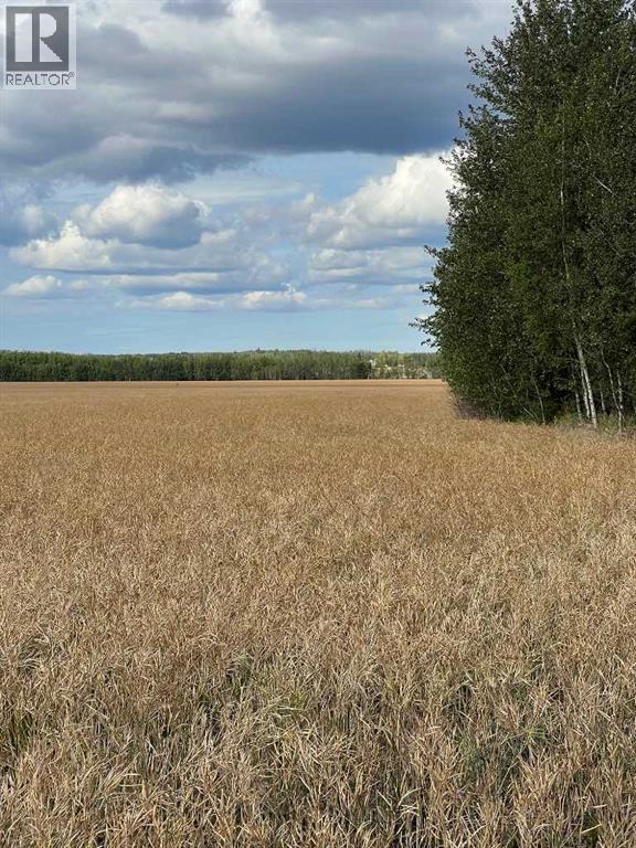 Portion Of Ne 2 74 9 W6 & Nw 2 74 9 W6, La Glace, Alberta  T0H 2J0 - Photo 22 - A2278258