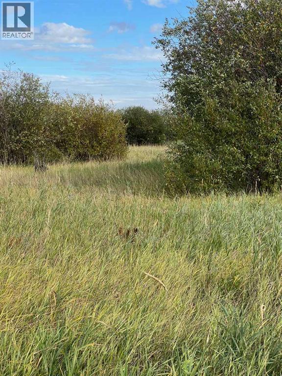 Portion Of Ne 2 74 9 W6 & Nw 2 74 9 W6, La Glace, Alberta  T0H 2J0 - Photo 23 - A2278258