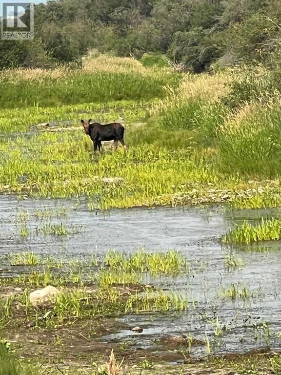 Portion Of Ne 2 74 9 W6 & Nw 2 74 9 W6, La Glace, Alberta  T0H 2J0 - Photo 26 - A2278258