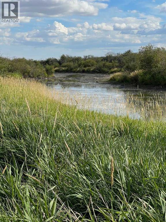 Portion Of Ne 2 74 9 W6 & Nw 2 74 9 W6, La Glace, Alberta  T0H 2J0 - Photo 28 - A2278258