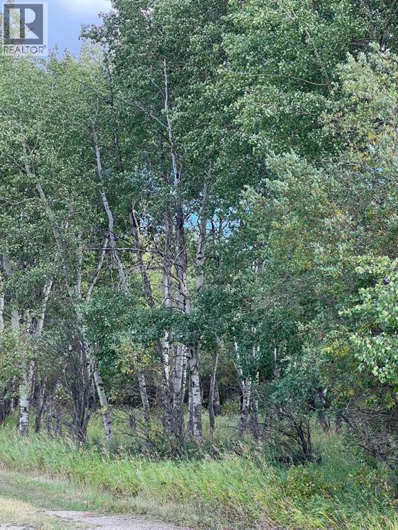 Portion Of Ne 2 74 9 W6 & Nw 2 74 9 W6, La Glace, Alberta  T0H 2J0 - Photo 29 - A2278258