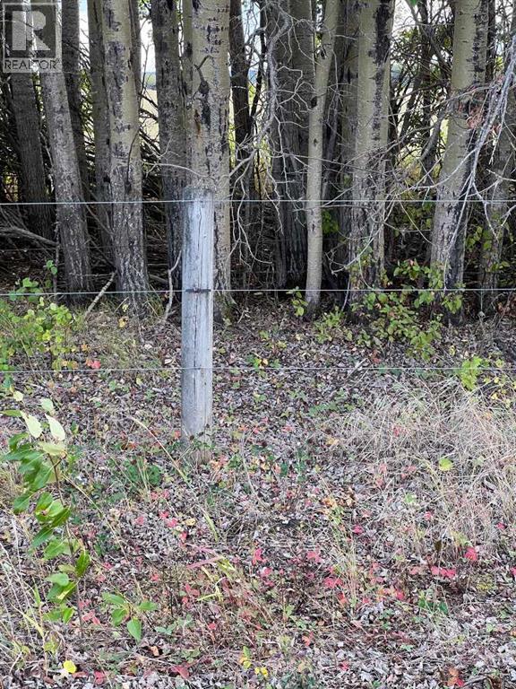 Portion Of Ne 2 74 9 W6 & Nw 2 74 9 W6, La Glace, Alberta  T0H 2J0 - Photo 30 - A2278258