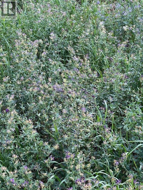 Portion Of Ne 2 74 9 W6 & Nw 2 74 9 W6, La Glace, Alberta  T0H 2J0 - Photo 31 - A2278258