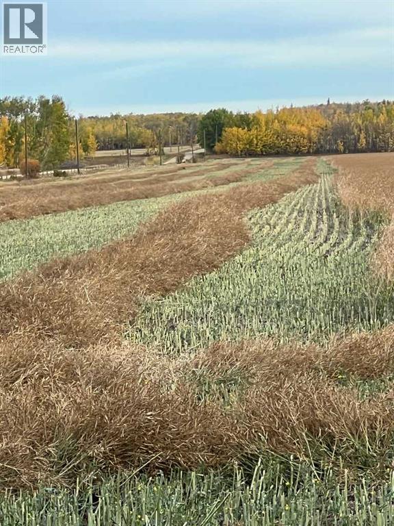 Portion Of Ne 2 74 9 W6 & Nw 2 74 9 W6, La Glace, Alberta  T0H 2J0 - Photo 32 - A2278258