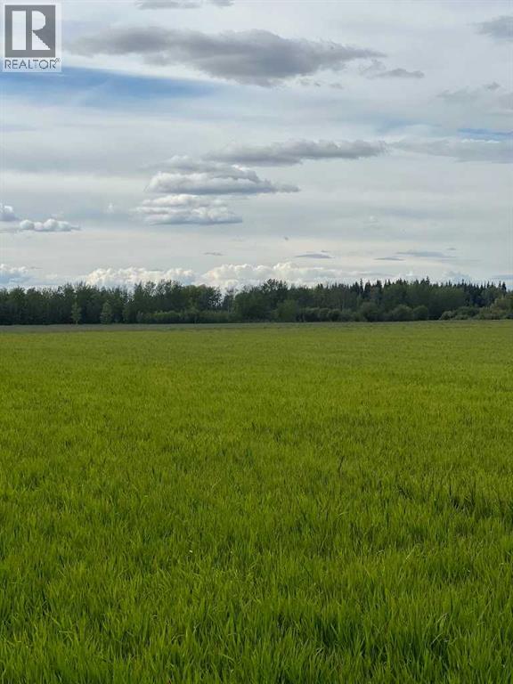 Portion Of Ne 2 74 9 W6 & Nw 2 74 9 W6, La Glace, Alberta  T0H 2J0 - Photo 5 - A2278258