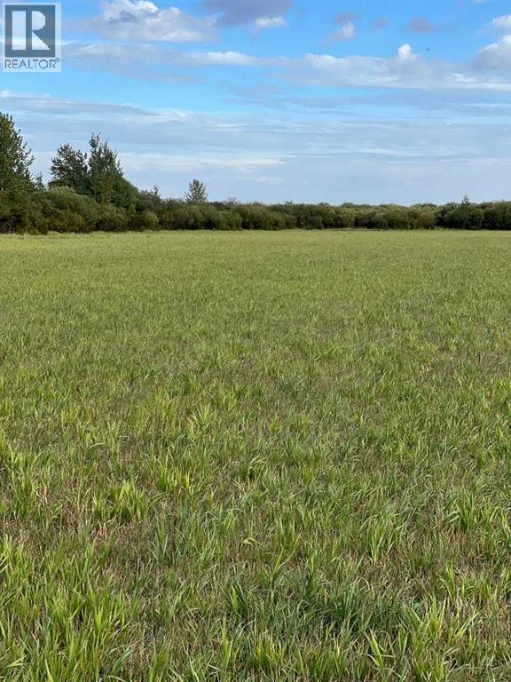 Portion Of Ne 2 74 9 W6 & Nw 2 74 9 W6, La Glace, Alberta  T0H 2J0 - Photo 8 - A2278258